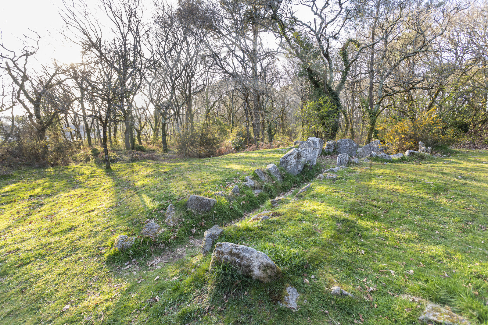 Le site mégalithiques de Mané Bogad à Ploemel