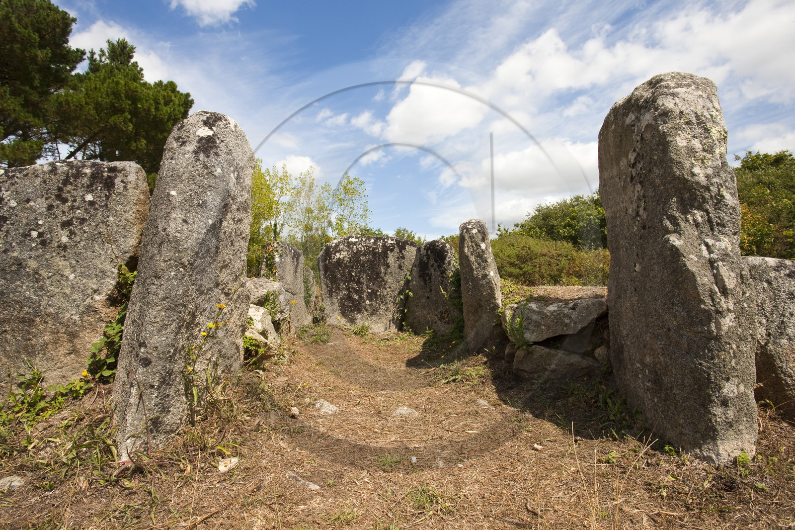 Ploemeur_Site du Cruguellic