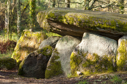 Le dolmen de la Loge au loup à Trédion