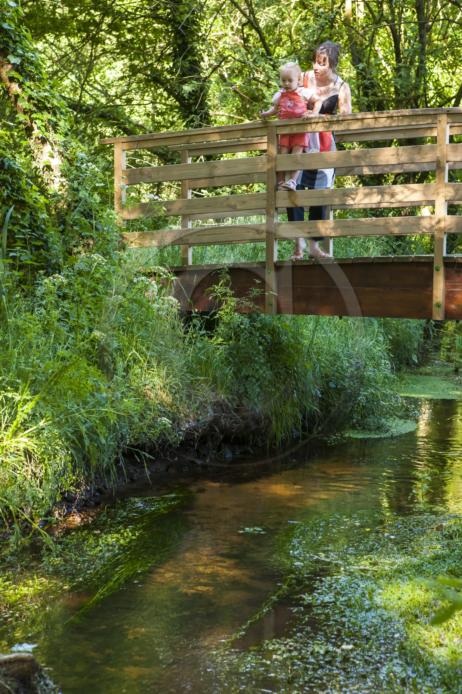 Le ruisseau le Rion sur la commune de Brandérion