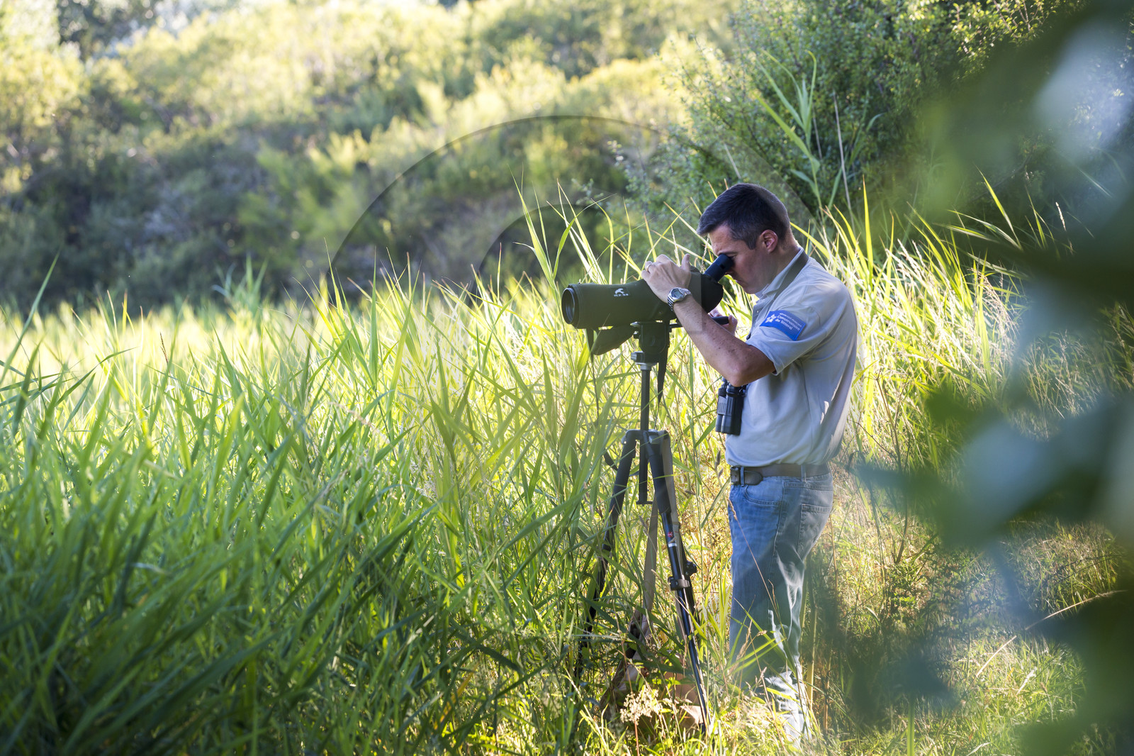 Le parc océanique de Kerguelen à Larmor-Plage