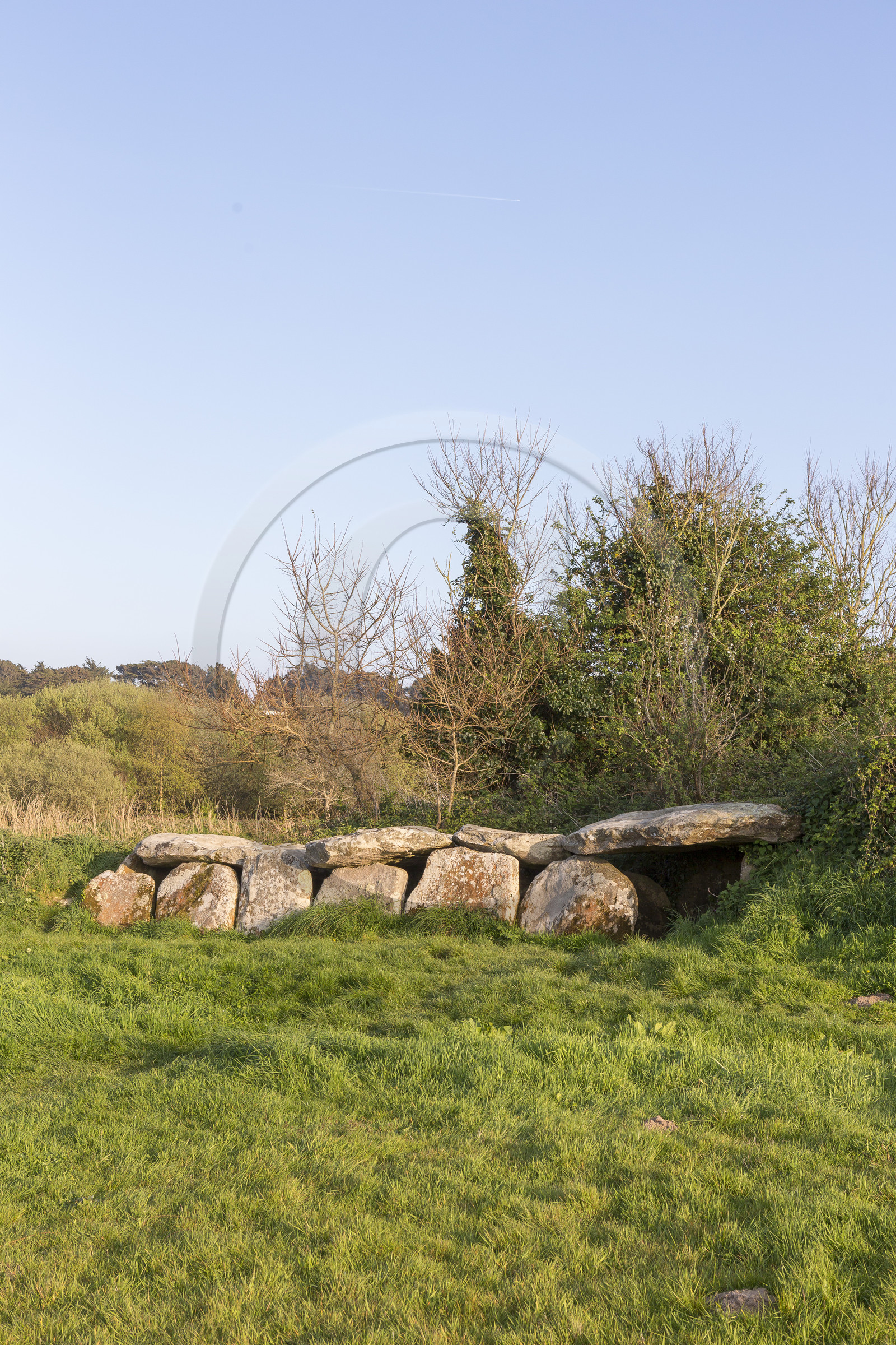 L'allée couverte de Kerguntuil à Trégastel.
