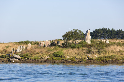 Er Lannic dans le golfe du Morbihan à Arzon