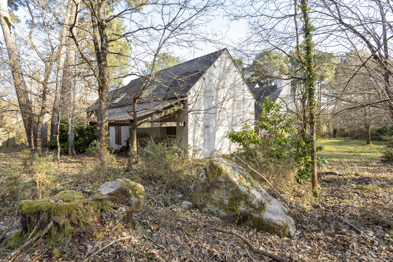 Le site mégalithique Le Castellic à Carnac