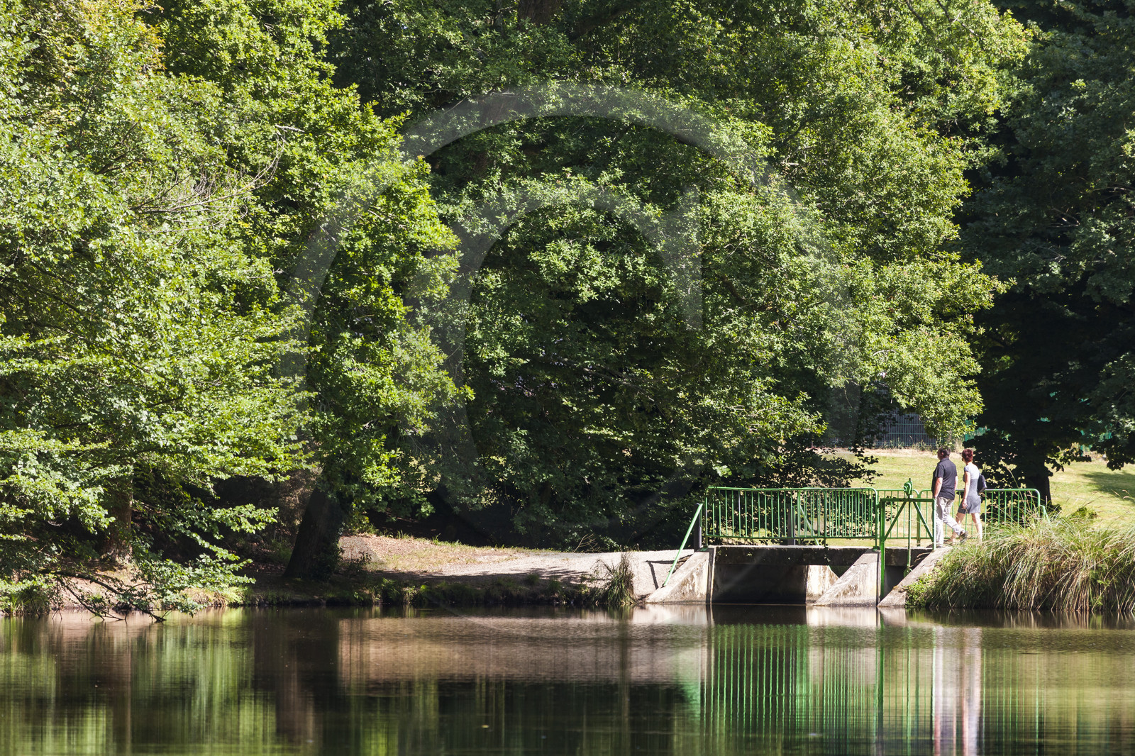 Etang de Kergoff à Caudan