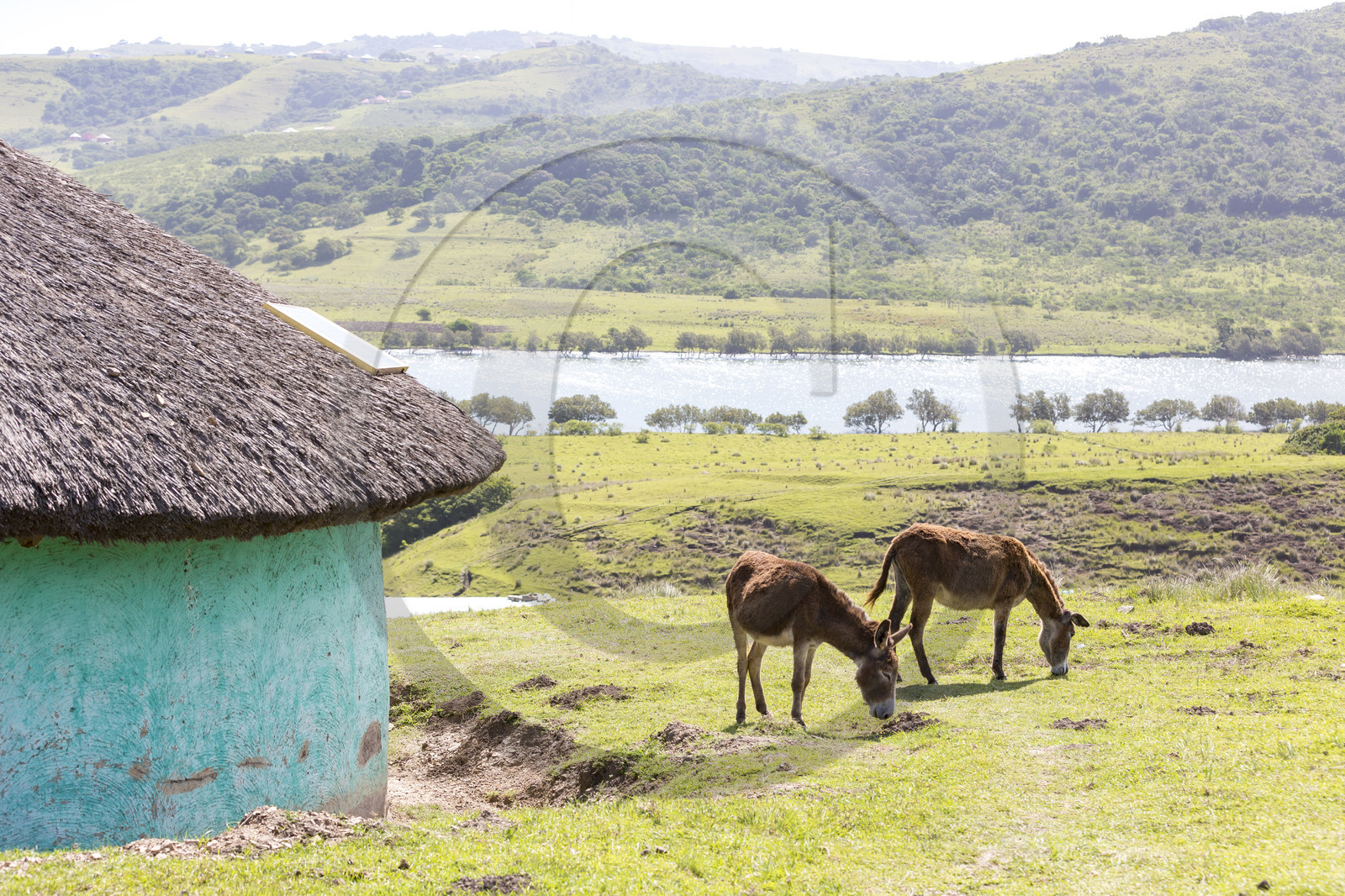 Village Xhosa de Bulungula en Afrique du Sud