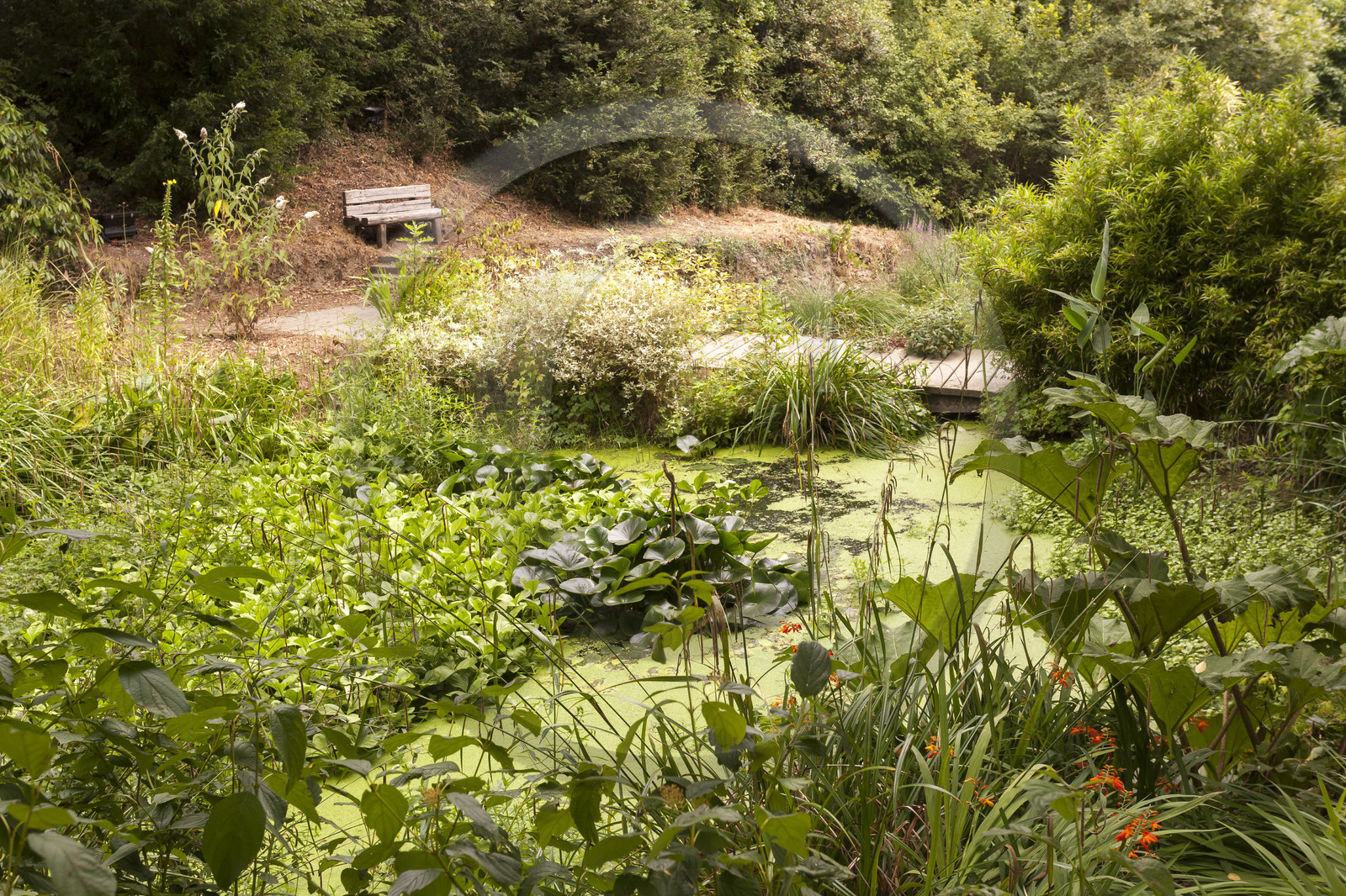 Pont-Scorff_Jardin d' Adol
