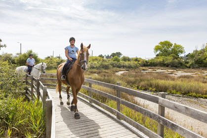Balade équestre autour des marais de Kerguelen.