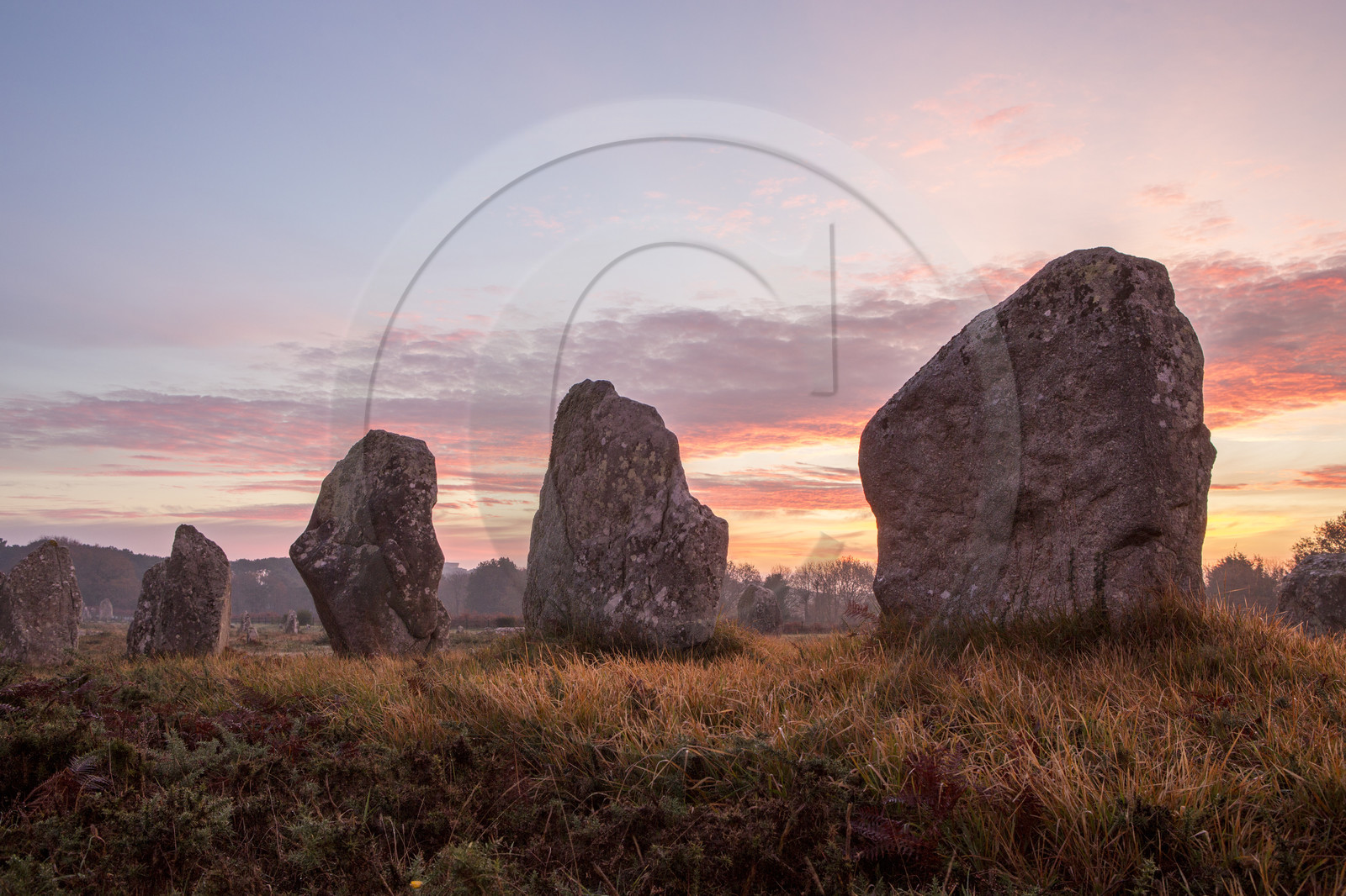 Alignements de Kerlescan à Carnac