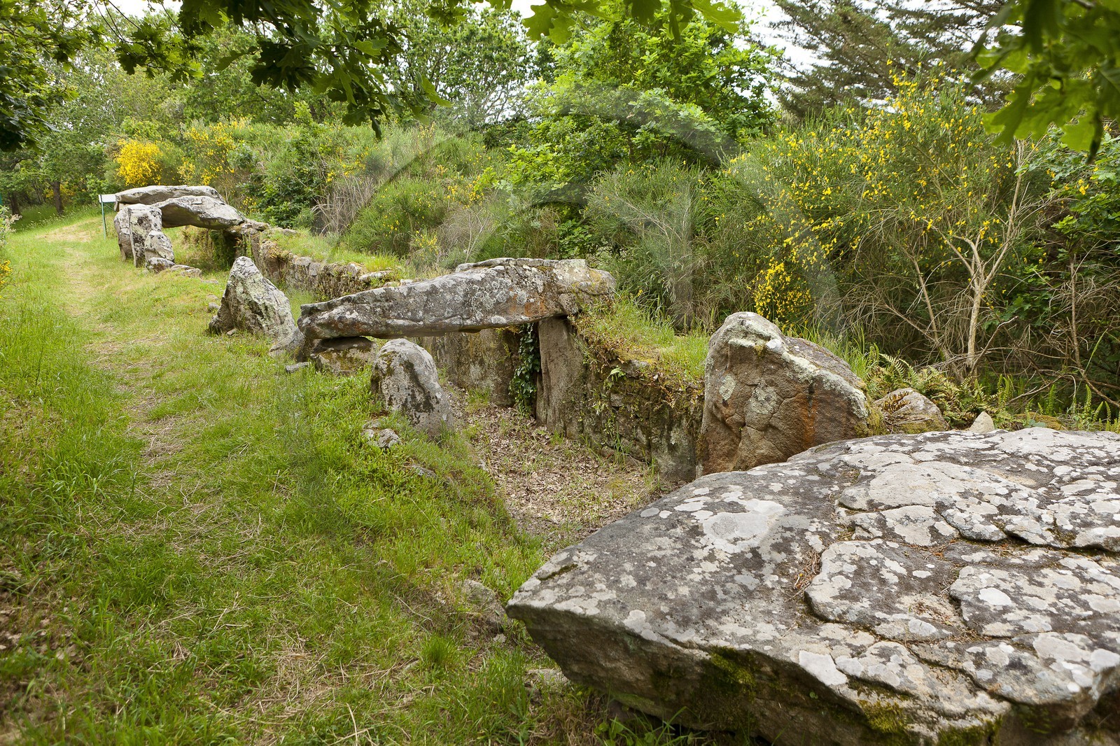 SITE ARCHEOLOGIQUE DE MANE ROULARDE _ LA TRINITE SUR MER