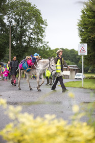 Association Copain-Coop’âne _ Quistinic