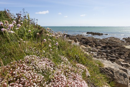 La plage du Men-Du_ La Trinite sur mer