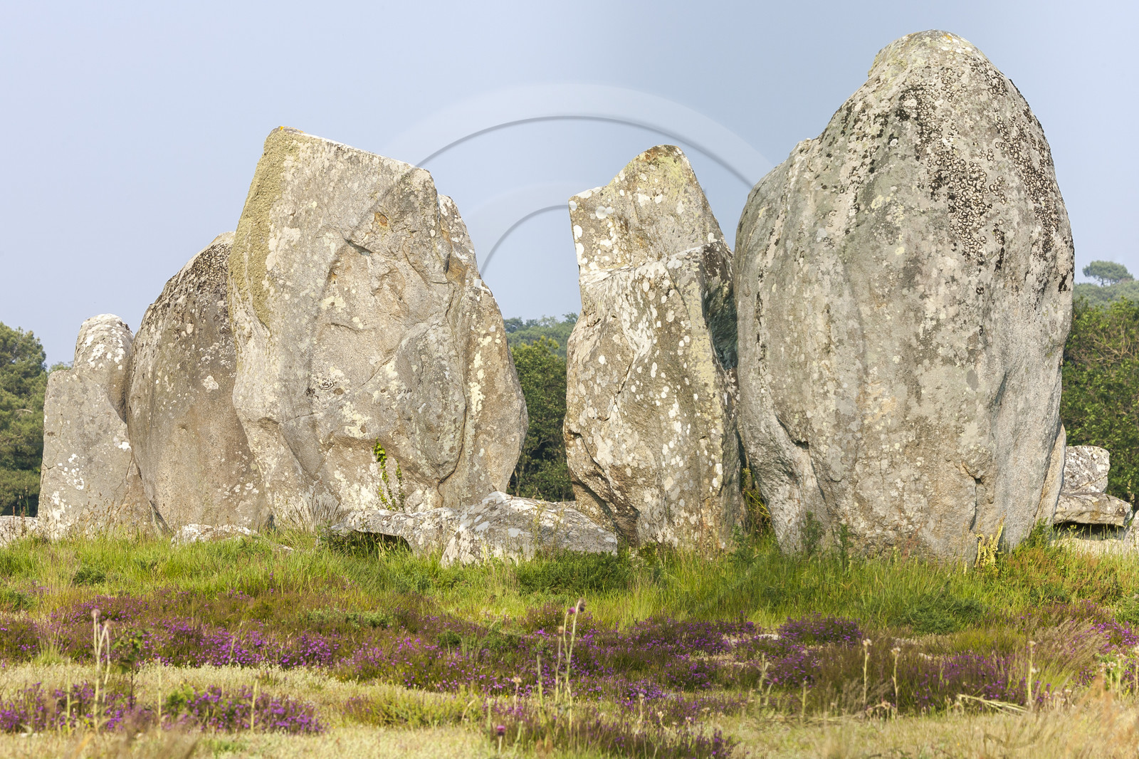Alignements de Menhirs du Ménec à Carnac