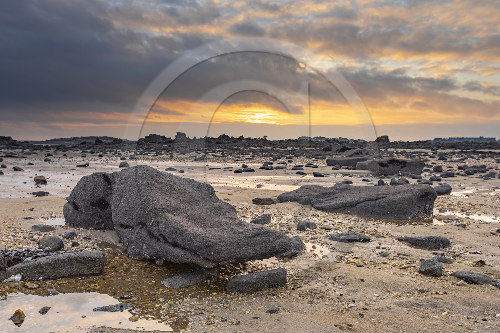 Alignements de Kerdual _ la Trinité sur Mer