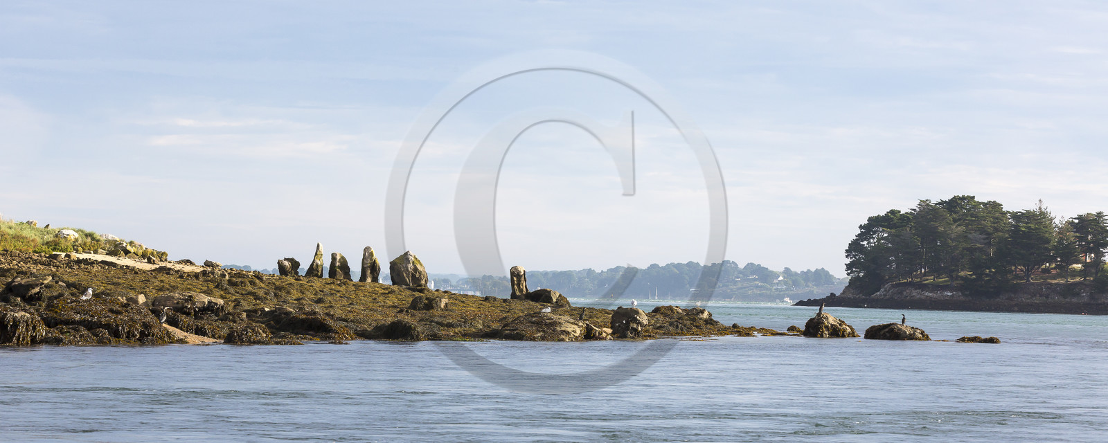 Er Lannic dans le golfe du Morbihan à Arzon