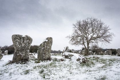Alignements de Kerzerho _ Erdeven