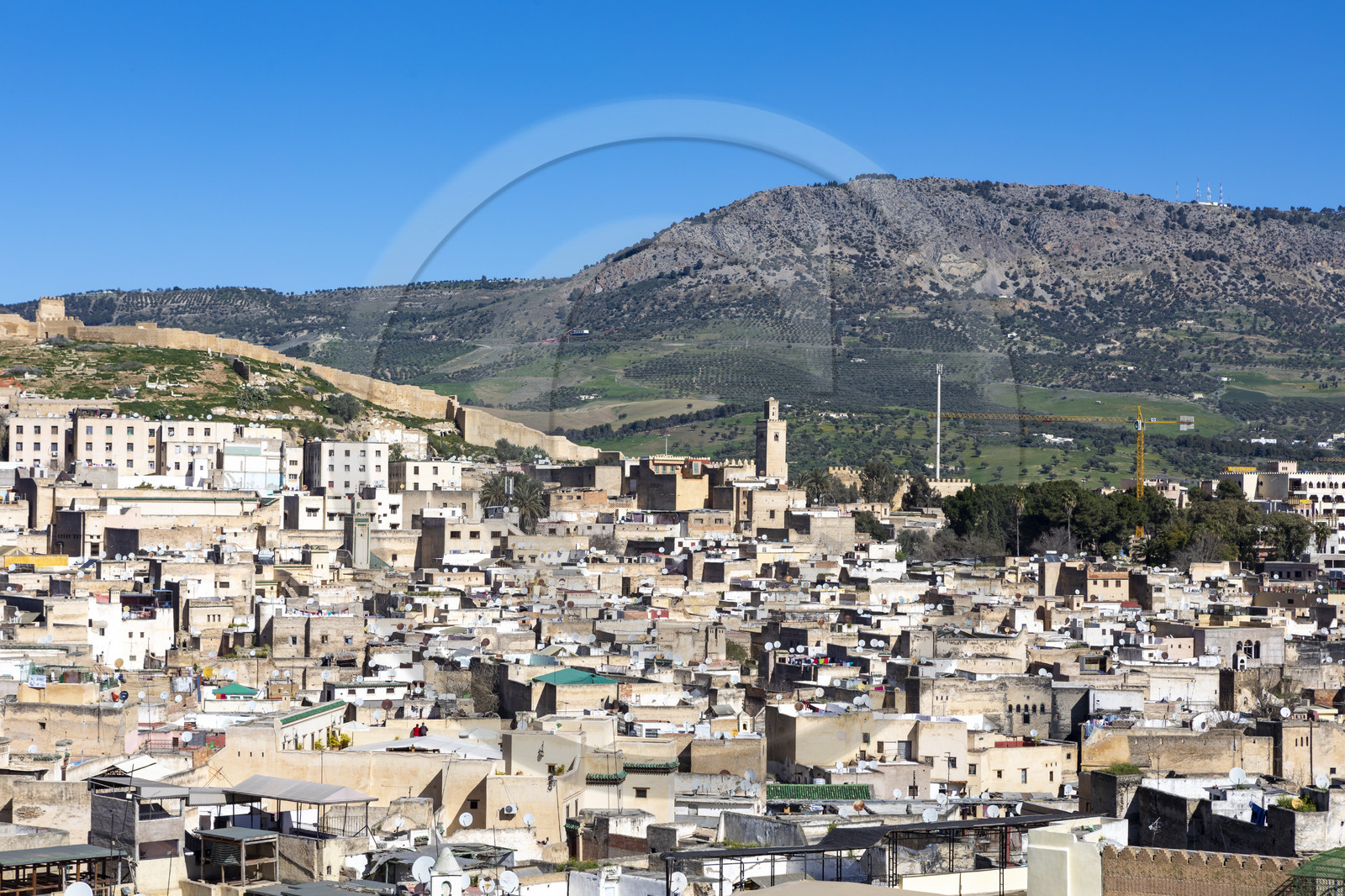 Vue sur la Médina de Fès depuis un toit de la Médina