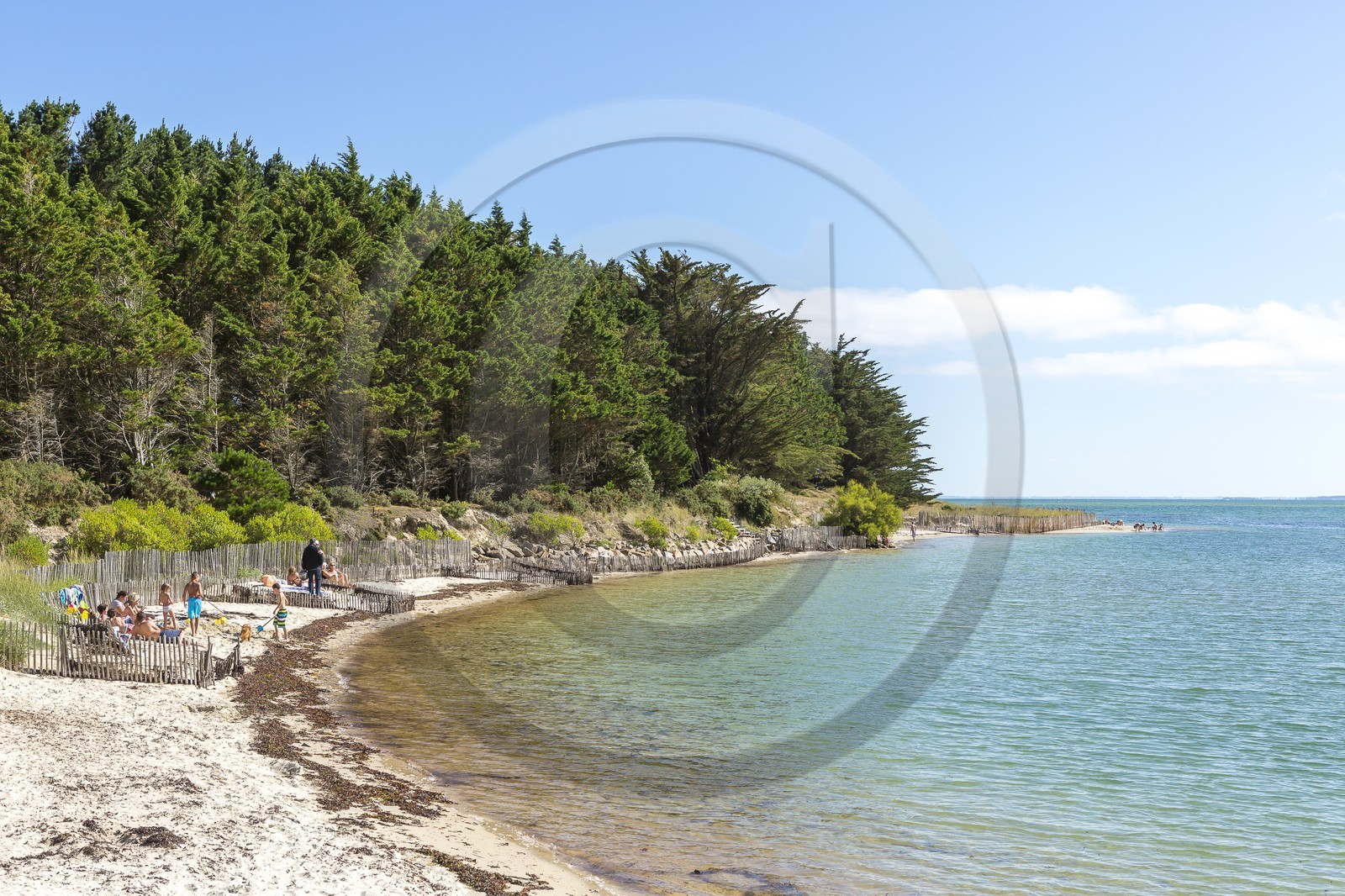 La plage du Poulbert  _ La Trinite sur mer