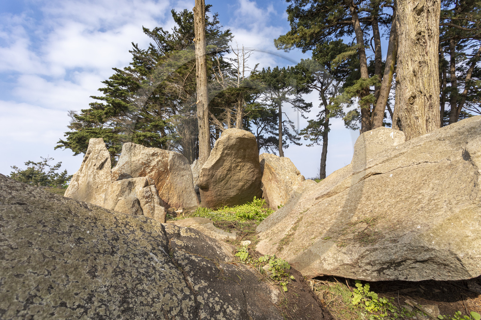 Site mégalithique de Pen Liouse