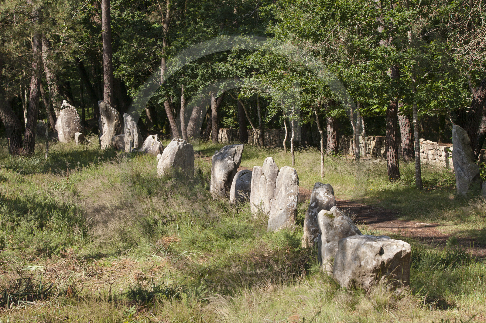 Alignements du Petit Menec _ La Trinite sur Mer