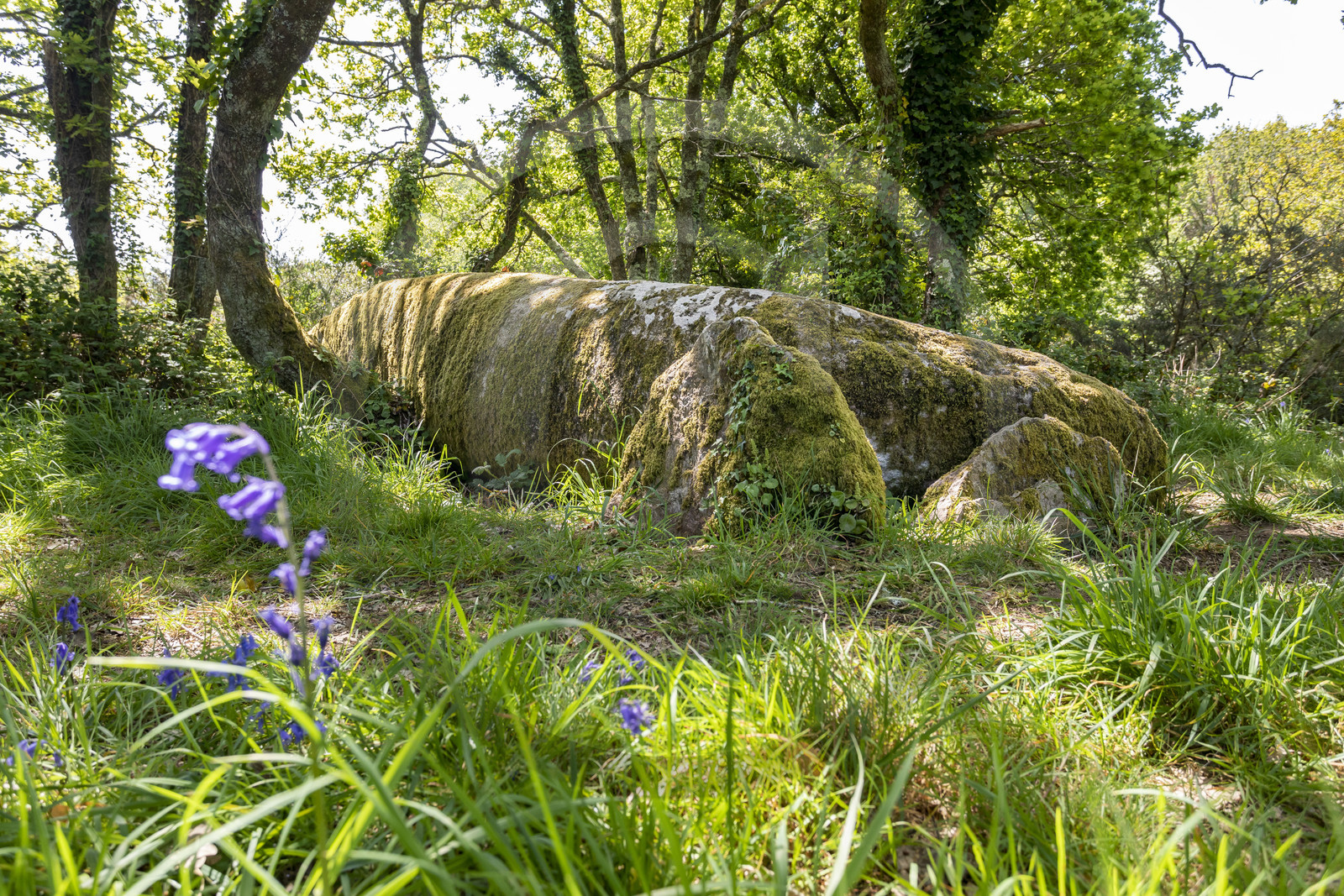 Dolmen de Men Hiaul (Kerblay) à Sarzeau