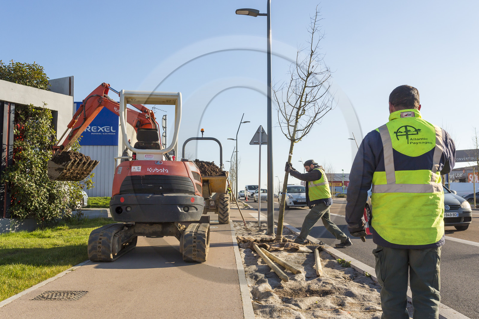 Triskell_Arbres_Queudet