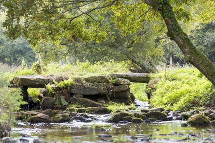 Ruisseau du Brandifout_Bubry
