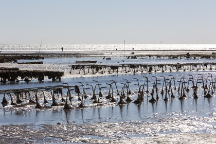 Parcs à huître_Plouharnel