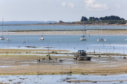 La riviere de Crach depuis Saint-Philibert.
