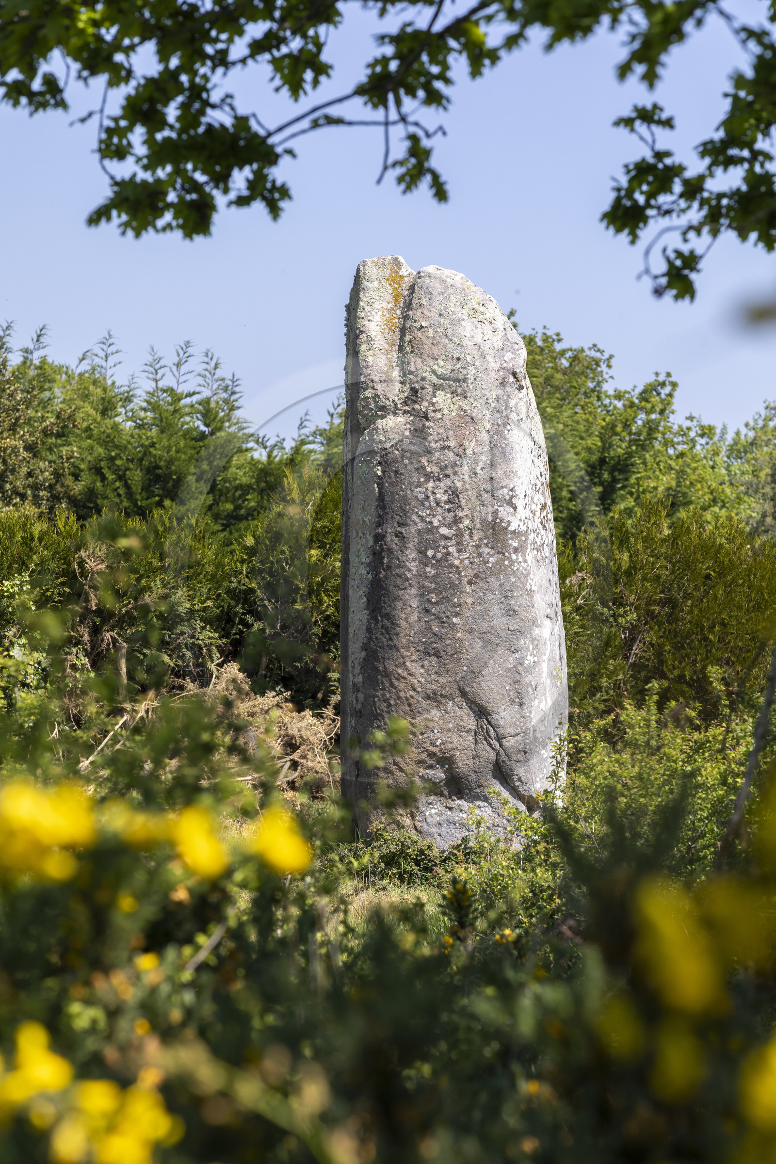 Le menhir de Kermaillard à Sarzeau