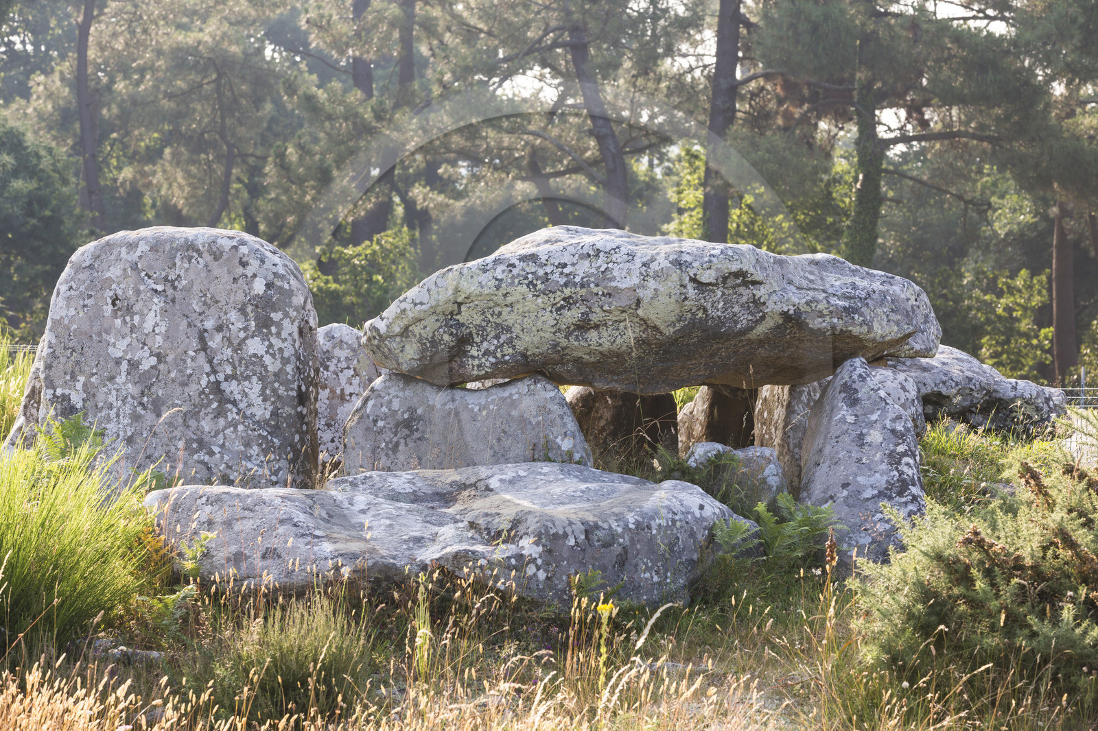 Les alignements de Kermario _ Carnac