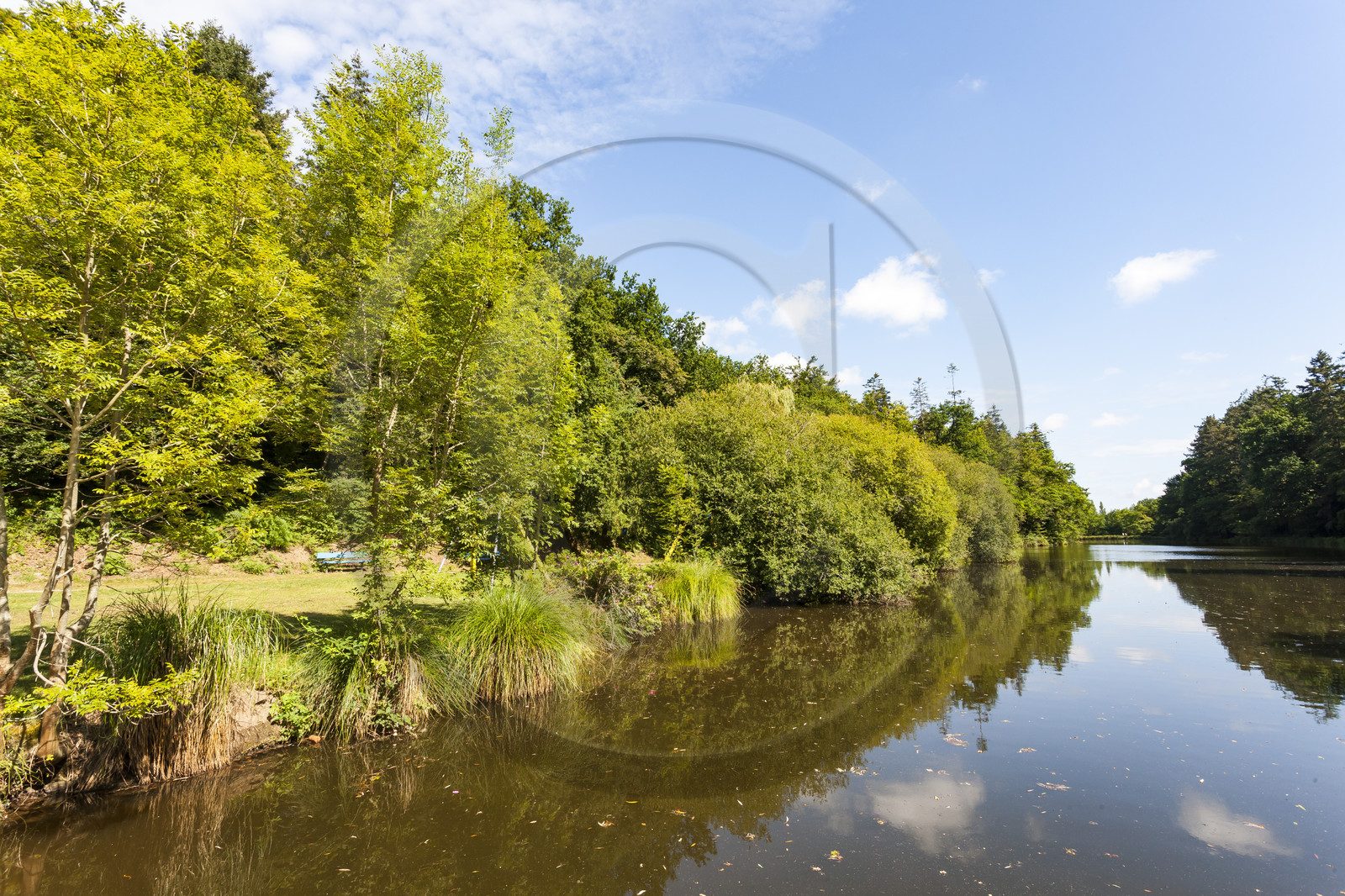 Etang de Kergoff à Caudan