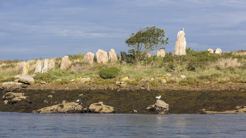 Er Lannic dans le golfe du Morbihan à Arzon