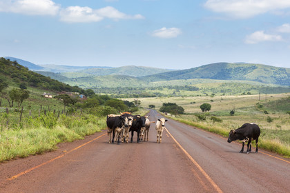 Paysage d'Eswatini ( Swaziland )