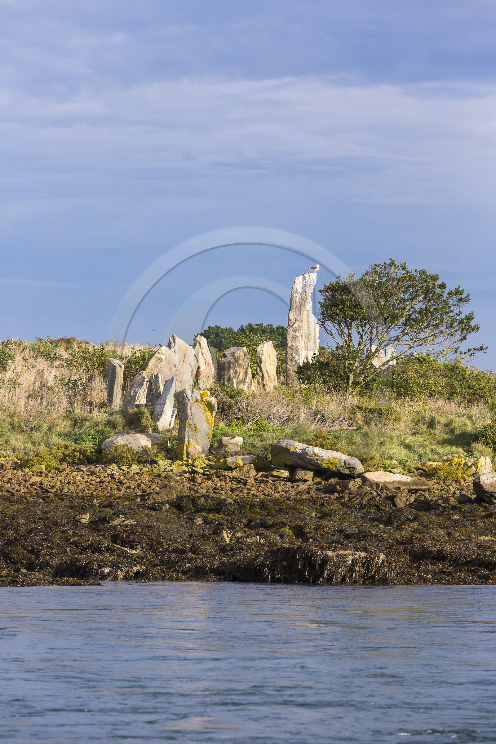 Er Lannic dans le golfe du Morbihan à Arzon
