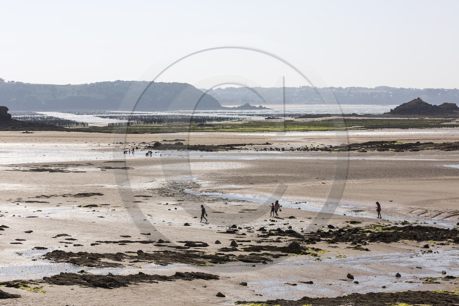 Archipel des Ebihens _ Saint-Jacut de la Mer