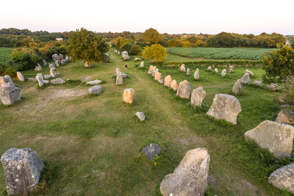 Alignements de Kerzerho _ Erdeven