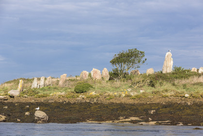 Er Lannic dans le golfe du Morbihan à Arzon
