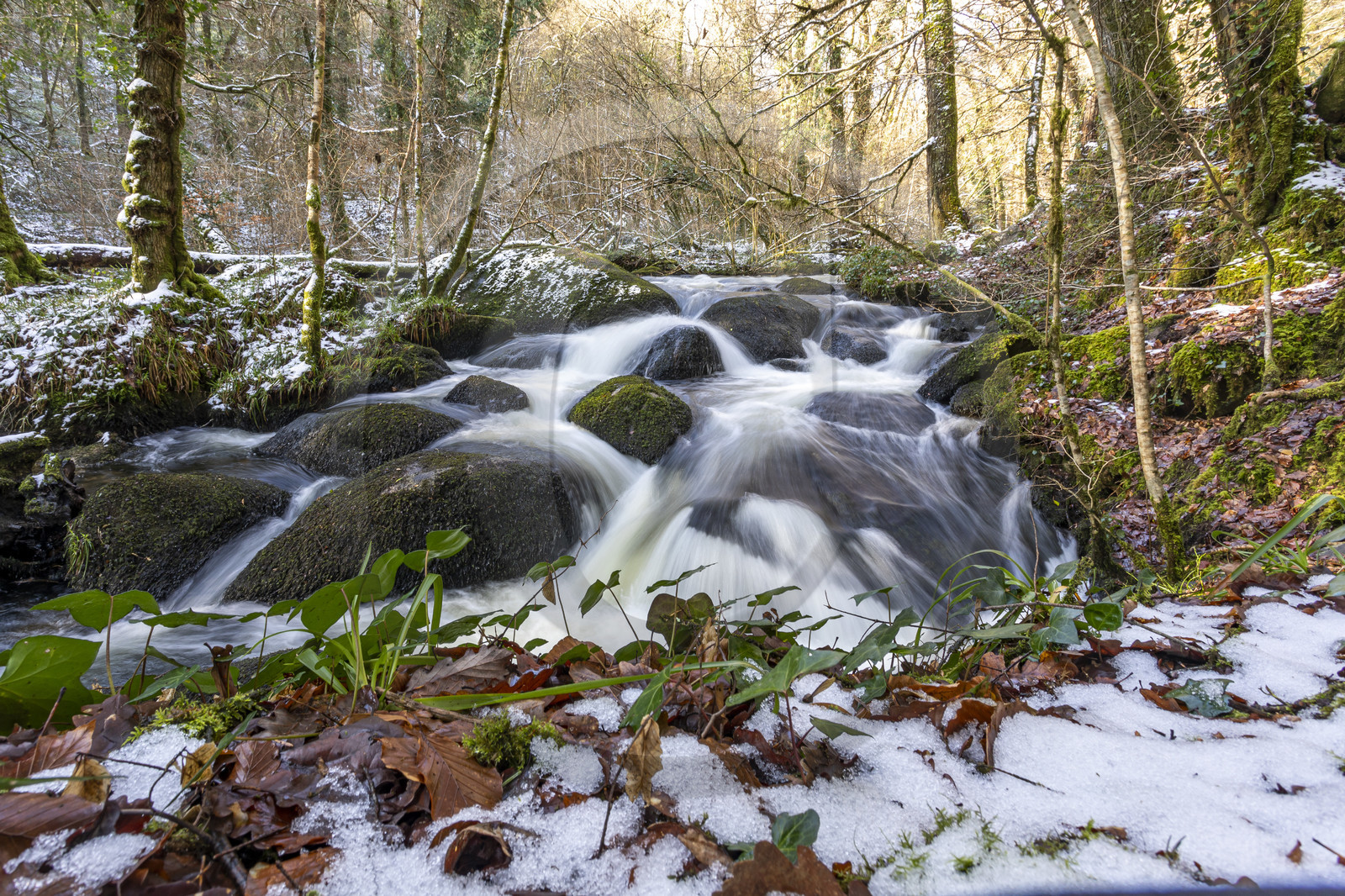 La forêt de Huelgoat, Finistère