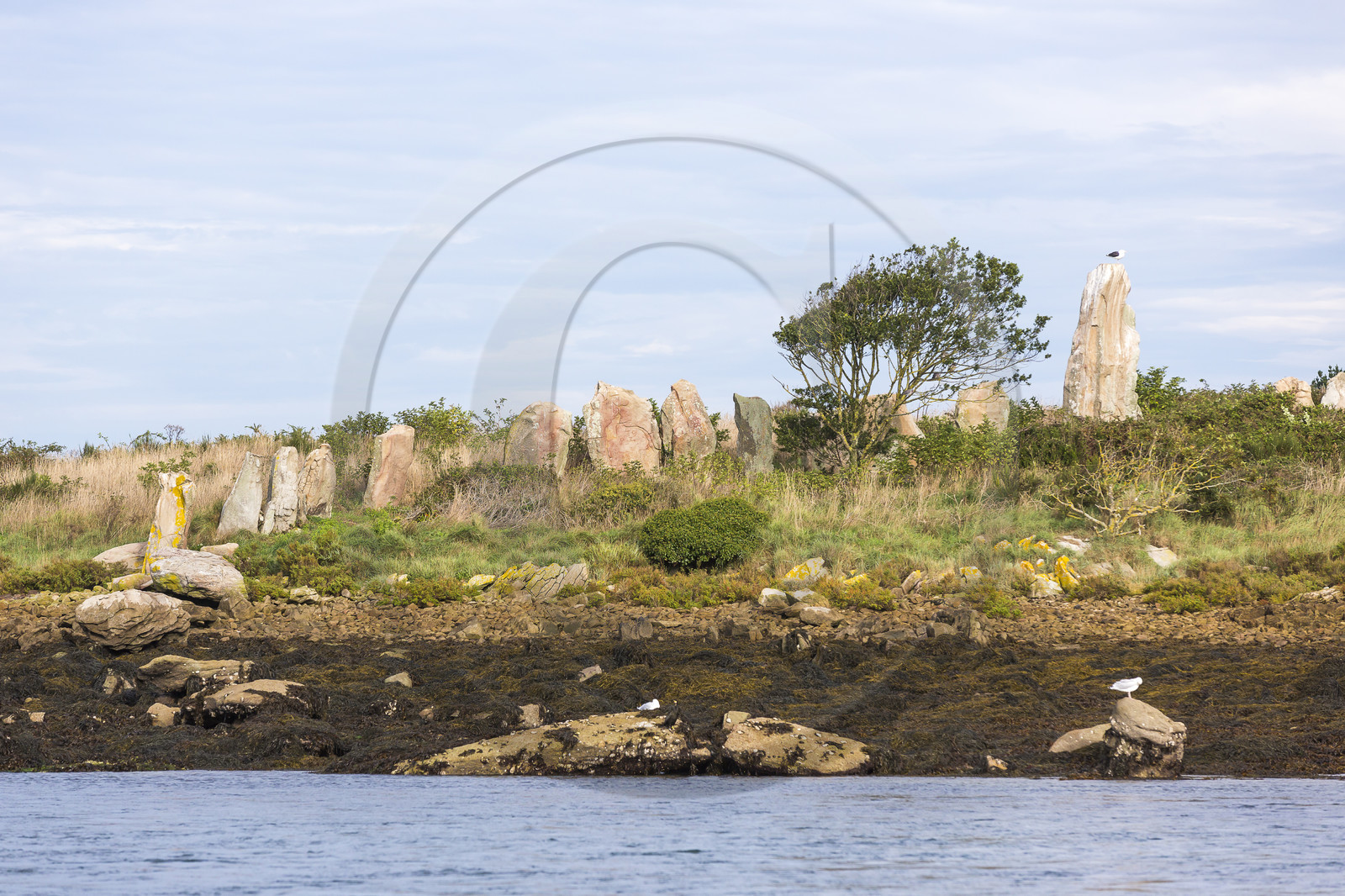 Er Lannic dans le golfe du Morbihan à Arzon