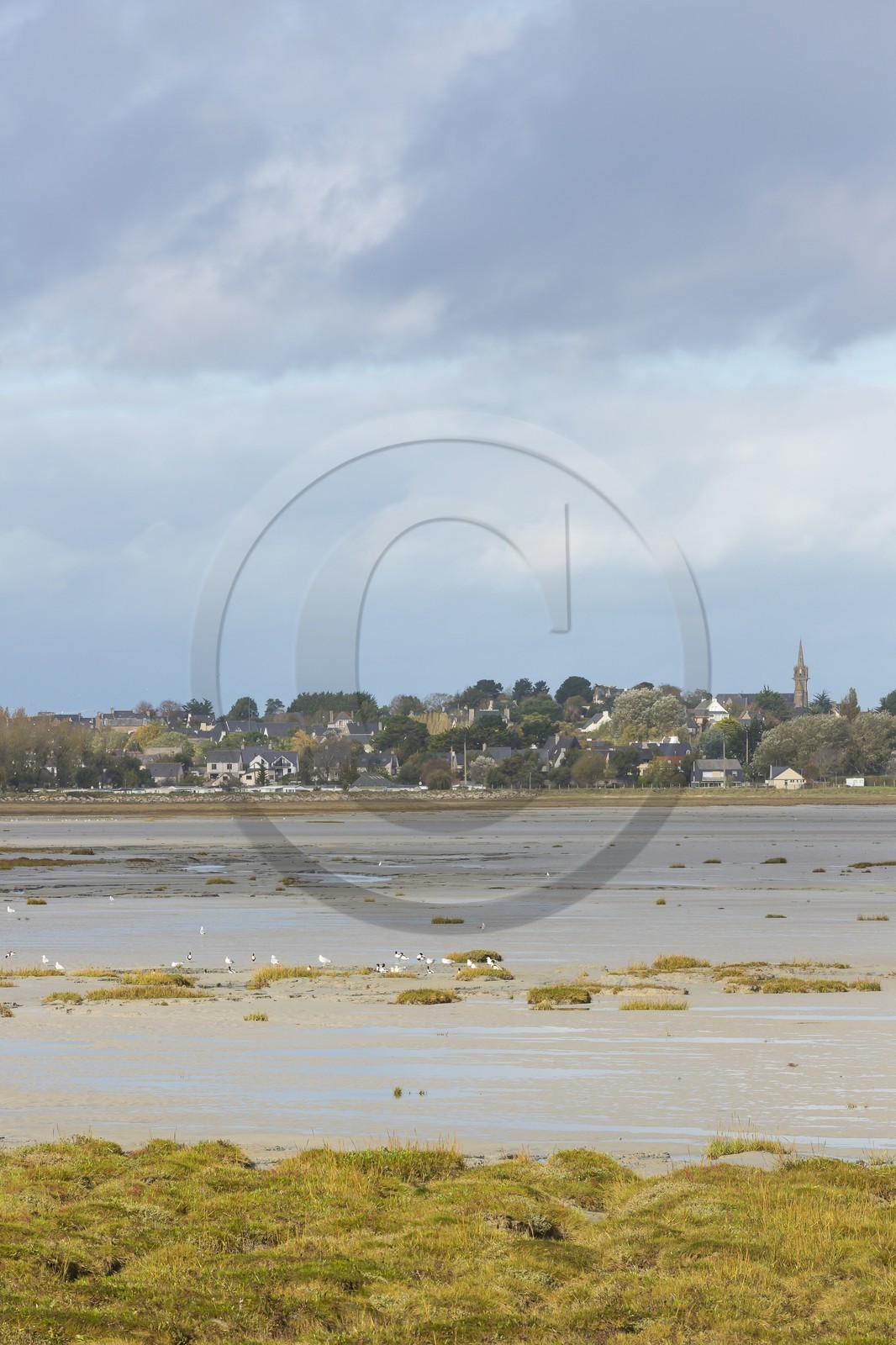 La baie de Beaussais