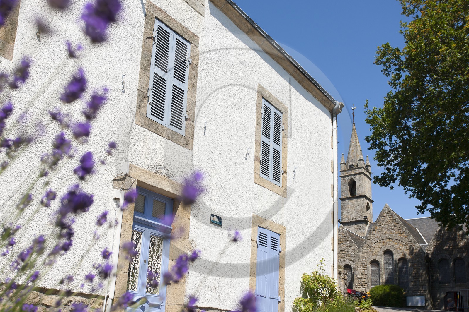 Maison fleurie dans le bourg de la Trinite sur Mer ( 56 ).