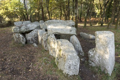 Le dolmen de Mané Groh _ Erdeven