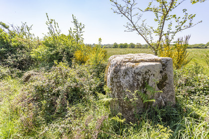 Menhir de Kerbigot à Sarzeau