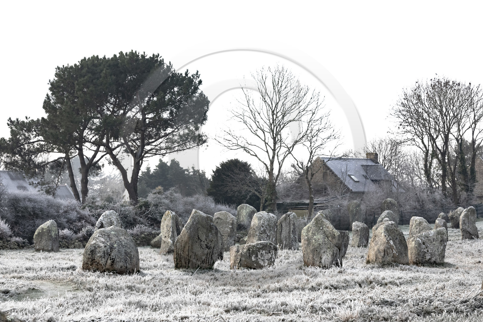 Les alignements du Ménec à Carnac