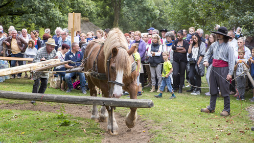 2016_Fête du cidre dans le village de Poul Fétan. Quistinic dans le Morbihan