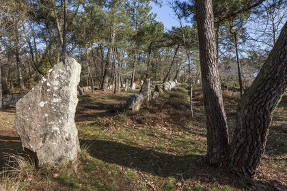 Alignements du Petit Menec _ La Trinite sur Mer