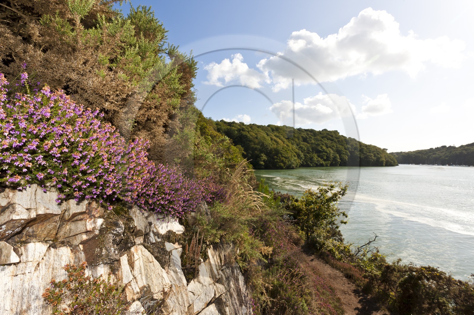 Sentier pedestre en bordure de la Laita_Guidel
