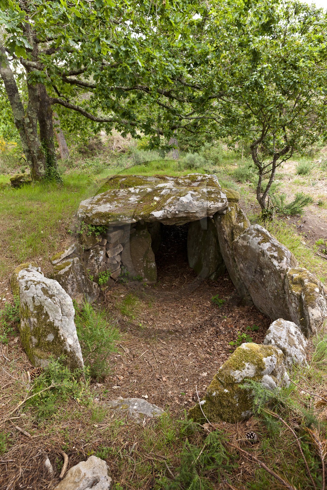 Le dolmen de Mane Bras _ la Trinite sur mer.