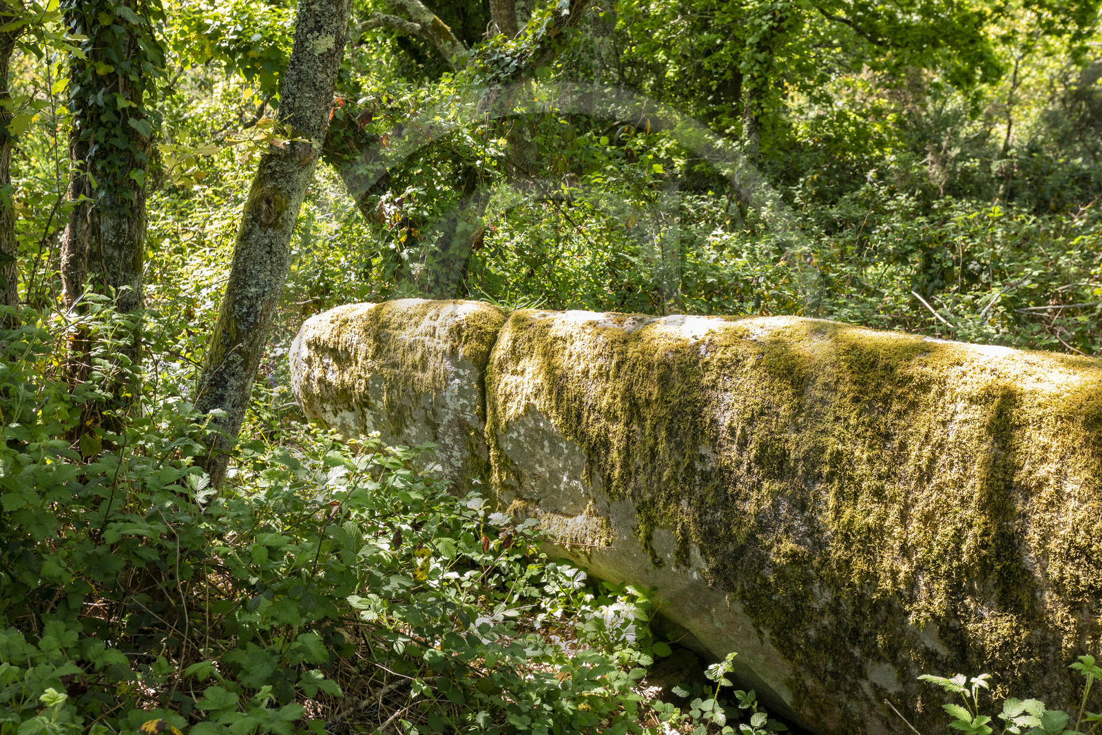 Dolmen de Men Hiaul (Kerblay) à Sarzeau